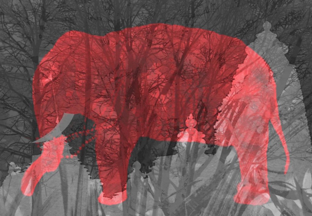 India is No Stranger to Elephant Cruelty
