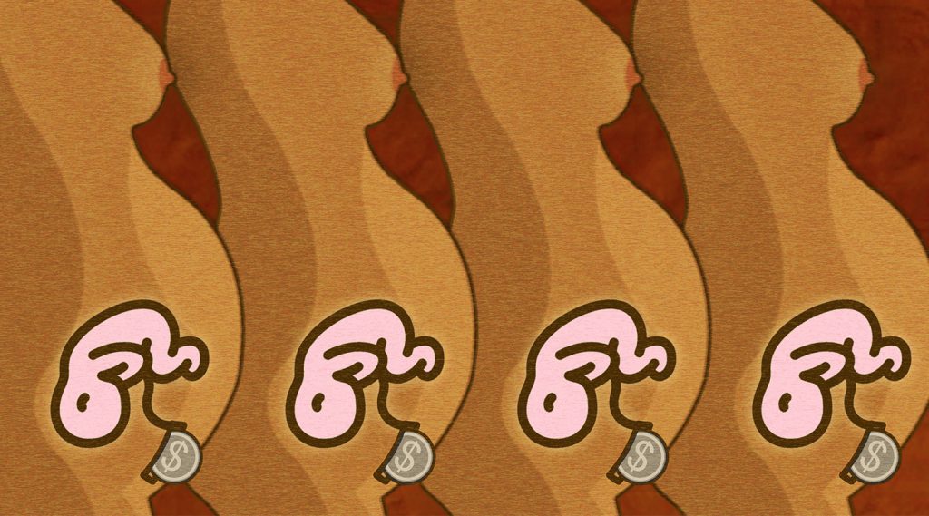 The Life and Times of a Surrogate Mother