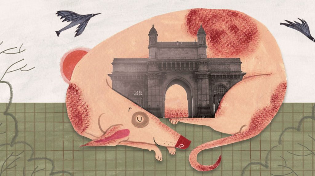 Bow Wow, Mumbai: The City Through the Eyes of its Strays