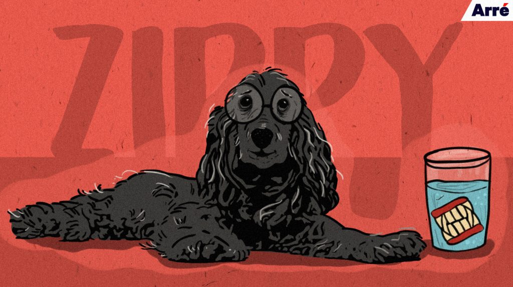 The Agony of Seeing My Dog Age