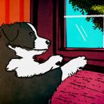 Why Pet Owners Are Not Always Animal Lovers
