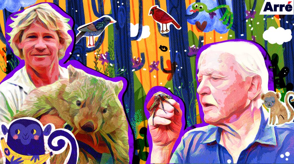Nature Documentaries are Pleasant Viewing, but “Our Planet” Changes that Forever