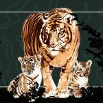 Save the Tiger… From Irresponsible Indian Tourists